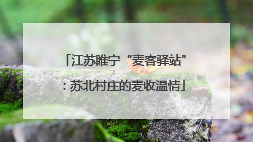 江苏睢宁“麦客驿站”：苏北村庄的麦收温情