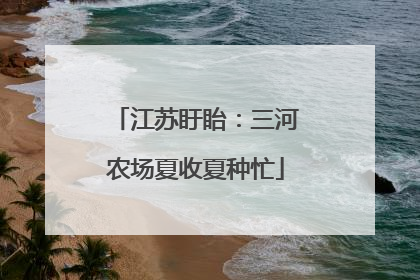 江苏盱眙：三河农场夏收夏种忙