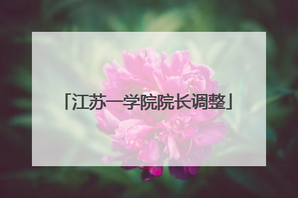 江苏一学院院长调整