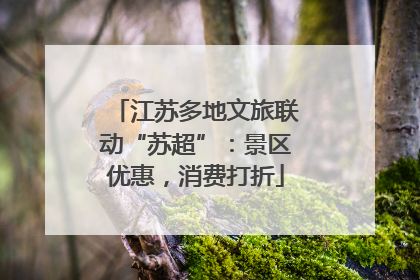 江苏多地文旅联动“苏超”：景区优惠，消费打折