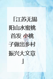 江苏无锡阳山水蜜桃首发 小桃子做出乡村振兴大文章