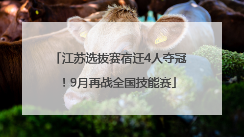 江苏选拔赛宿迁4人夺冠！9月再战全国技能赛