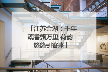 江苏金湖：千年藕香飘万里 荷韵悠悠引客来