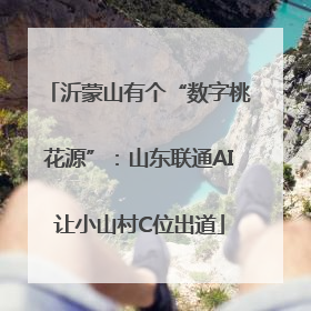 沂蒙山有个“数字桃花源”：山东联通AI让小山村C位出道