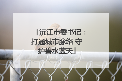 沅江市委书记：打通城市脉络 守护碧水蓝天
