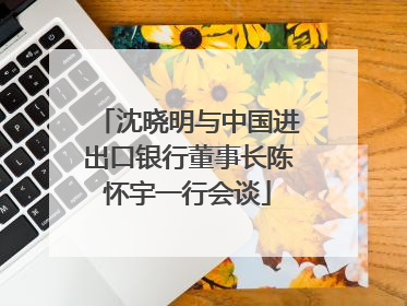 沈晓明与中国进出口银行董事长陈怀宇一行会谈
