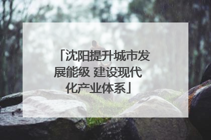沈阳提升城市发展能级 建设现代化产业体系