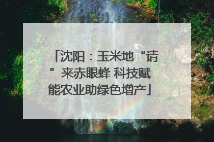 沈阳：玉米地“请”来赤眼蜂 科技赋能农业助绿色增产