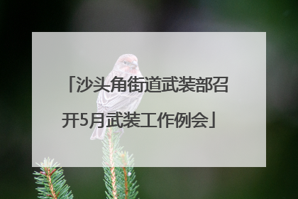 沙头角街道武装部召开5月武装工作例会