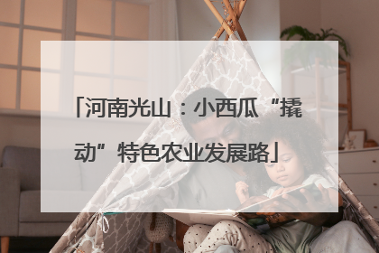河南光山：小西瓜“撬动”特色农业发展路