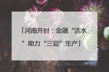 河南开封：金融“活水”助力“三夏”生产