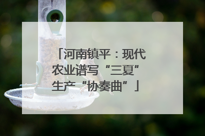 河南镇平：现代农业谱写“三夏”生产“协奏曲”