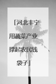 河北丰宁用蔬菜产业撑起农民钱袋子