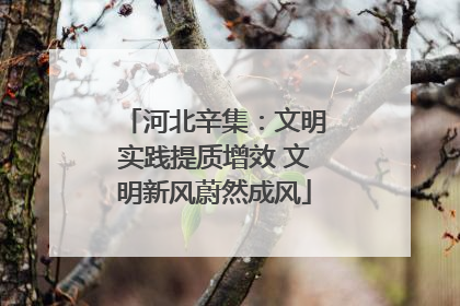 河北辛集：文明实践提质增效 文明新风蔚然成风