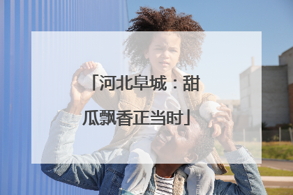 河北阜城：甜瓜飘香正当时