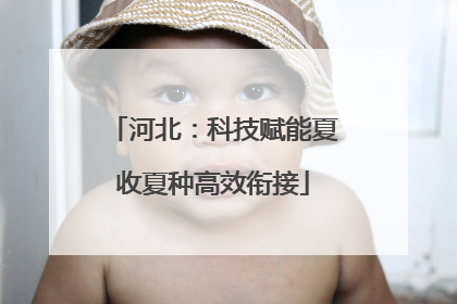 河北：科技赋能夏收夏种高效衔接
