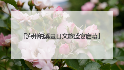 泸州纳溪夏日文旅盛宴启幕