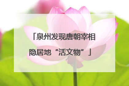 泉州发现唐朝宰相隐居地“活文物”