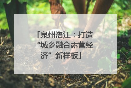 泉州洛江：打造“城乡融合露营经济”新样板