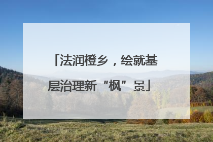 法润橙乡，绘就基层治理新“枫”景