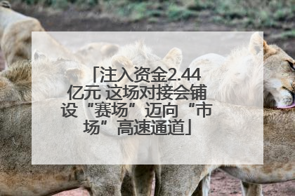 注入资金2.44亿元 这场对接会铺设“赛场”迈向“市场”高速通道