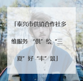 泰兴市供销合作社多维服务 “供”绘“三夏”好“丰”景