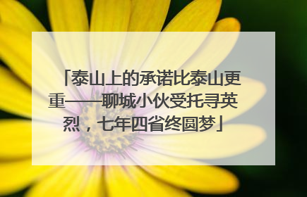 泰山上的承诺比泰山更重——聊城小伙受托寻英烈，七年四省终圆梦
