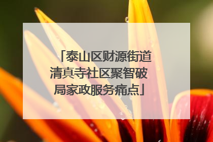 泰山区财源街道清真寺社区聚智破局家政服务痛点
