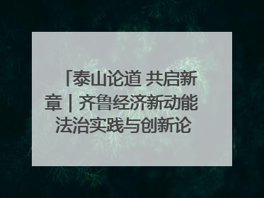 泰山论道 共启新章｜齐鲁经济新动能 法治实践与创新论坛成功举办