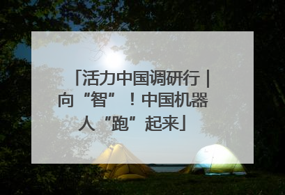 活力中国调研行｜向“智”！中国机器人“跑”起来