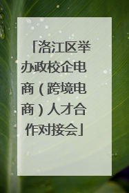 洛江区举办政校企电商（跨境电商）人才合作对接会