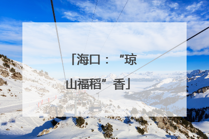 海口：“琼山福稻”香