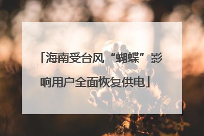 海南受台风“蝴蝶”影响用户全面恢复供电