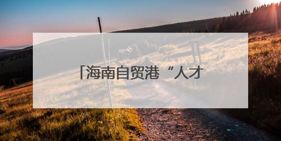 海南自贸港“人才引擎”如何加速？这场交流活动有干货