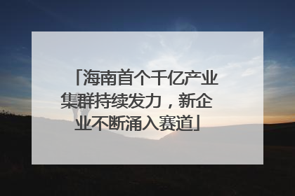 海南首个千亿产业集群持续发力，新企业不断涌入赛道
