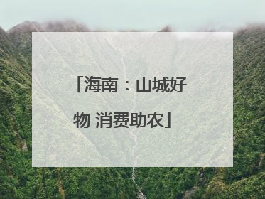 海南：山城好物 消费助农