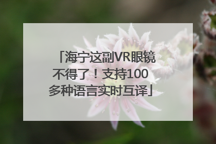 海宁这副VR眼镜不得了！支持100多种语言实时互译