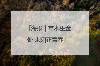 海报｜草木生金处 耒阳正青春