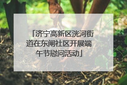 济宁高新区洸河街道在东闸社区开展端午节慰问活动