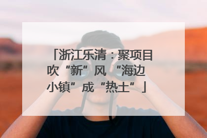 浙江乐清：聚项目吹“新”风 “海边小镇”成“热土”