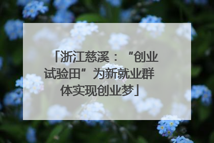 浙江慈溪：“创业试验田”为新就业群体实现创业梦