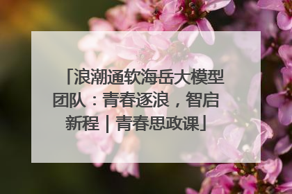浪潮通软海岳大模型团队：青春逐浪，智启新程｜青春思政课