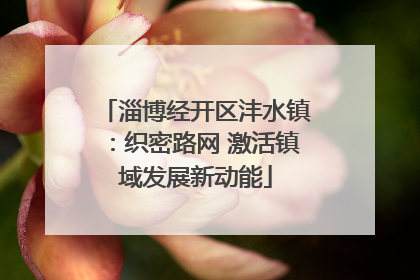 淄博经开区沣水镇：织密路网 激活镇域发展新动能