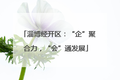 淄博经开区：“企”聚合力，“会”通发展