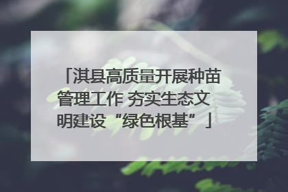 淇县高质量开展种苗管理工作 夯实生态文明建设“绿色根基”