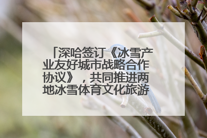 深哈签订《冰雪产业友好城市战略合作协议》，共同推进两地冰雪体育文化旅游高质量发展
