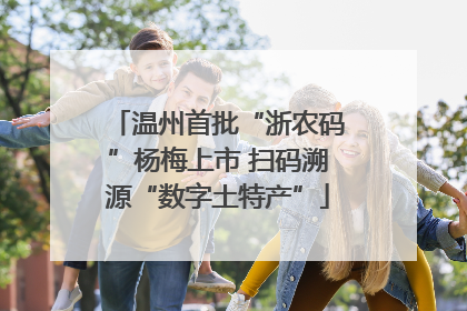 温州首批“浙农码”杨梅上市 扫码溯源“数字土特产”