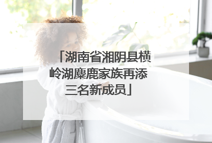 湖南省湘阴县横岭湖麋鹿家族再添三名新成员