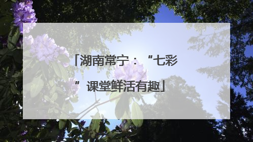 湖南常宁：“七彩”课堂鲜活有趣