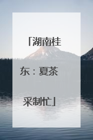 湖南桂东：夏茶采制忙